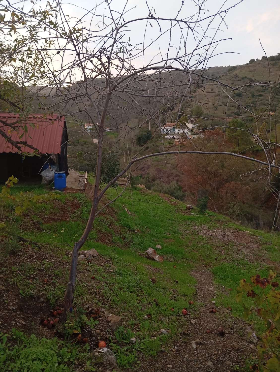 Finca en venta